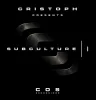 Cristoph launches presenta ‘SUBCULTURE’ el nuevo VA de COS Recordings 2 NDD-Captura de pantalla 2024 12 05 a las 15.11.36