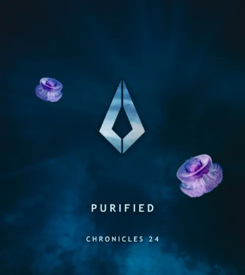 Purified presenta ‘Chronicles 24’ Compilatorio 5 NDD-Captura de pantalla 2024 12 13 a las 18.49.23