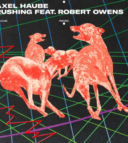Axel Haube teams up with Robert Owens for Truesoul debut Single ‘Rushing’ 5 NDD-Captura de pantalla 2025 02 25 a las 18.29.48