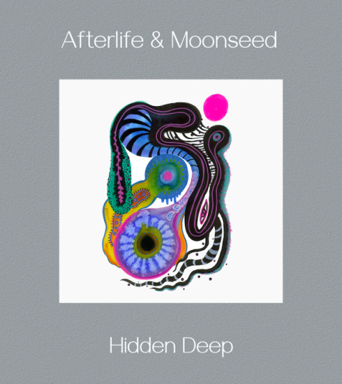 Hidden Deep, producido por Afterlife & Moonseed 4 NDD-Captura de pantalla 2025 04 29 a las 10.55.56