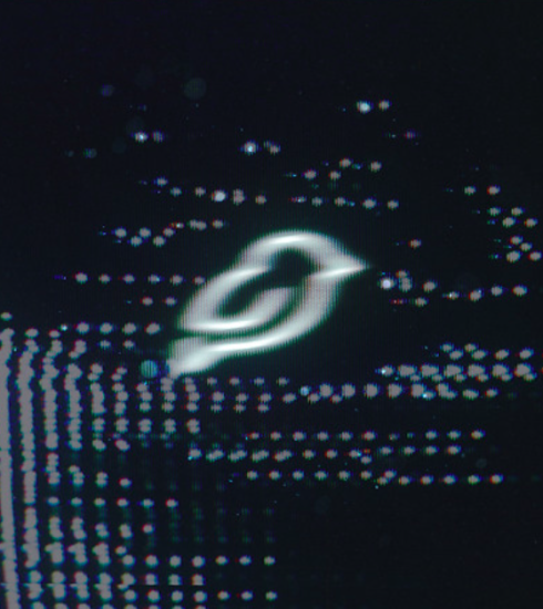 Groove Particle / Magnolia de Canary Yellow 4 NDD-Captura de pantalla 2025 06 20 a las 12.16.32