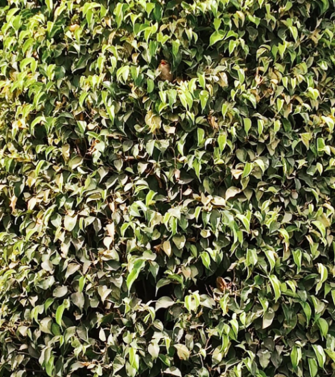 Khurram Mir present Incognito 4 NDD-Captura de pantalla 2025 07 16 a las 22.33.21