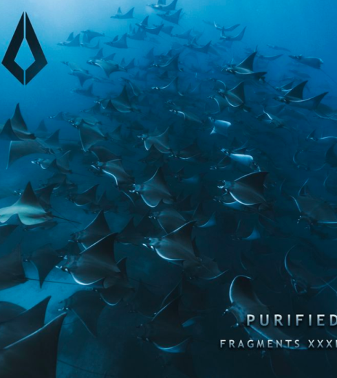 Purified Records lanza su 31 edición en un compilatorio titulado ‘Fragments XXXI’ 3 NDD-Captura de pantalla 2025 08 15 a las 18.40.59