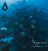 Purified Records lanza su 31 edición en un compilatorio titulado ‘Fragments XXXI’ 2 NDD-Captura de pantalla 2025 08 15 a las 18.40.59