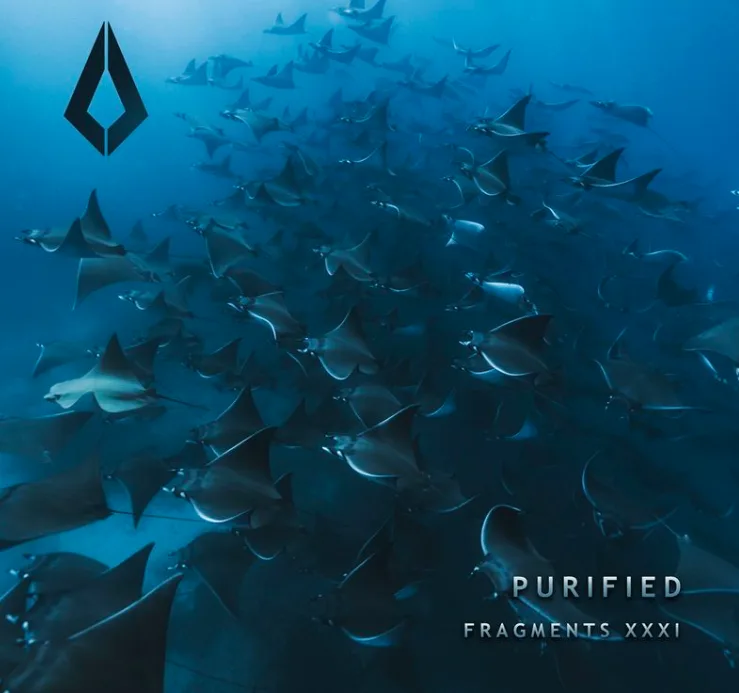 NDD-Captura de pantalla 2025 08 15 a las 18.40.59 png