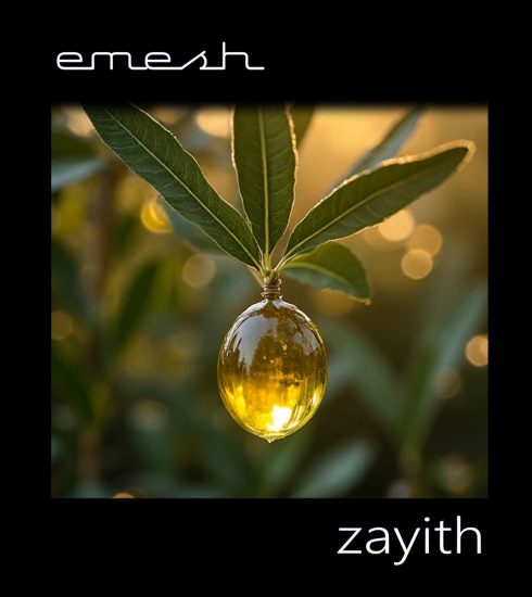 emesh presenta Zayith 3 NDD-a2724316987 10
