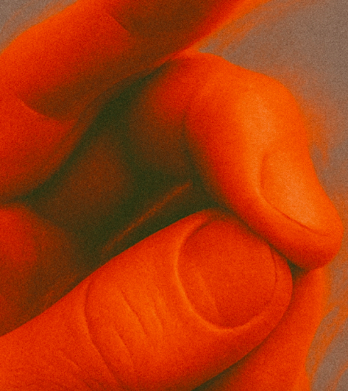 NDD-Captura de pantalla 2025 10 24 a las 13.33.37