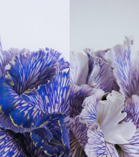 Be Your Own Studio presenta VA Be Vol.5 5 NDD-unnamed 55