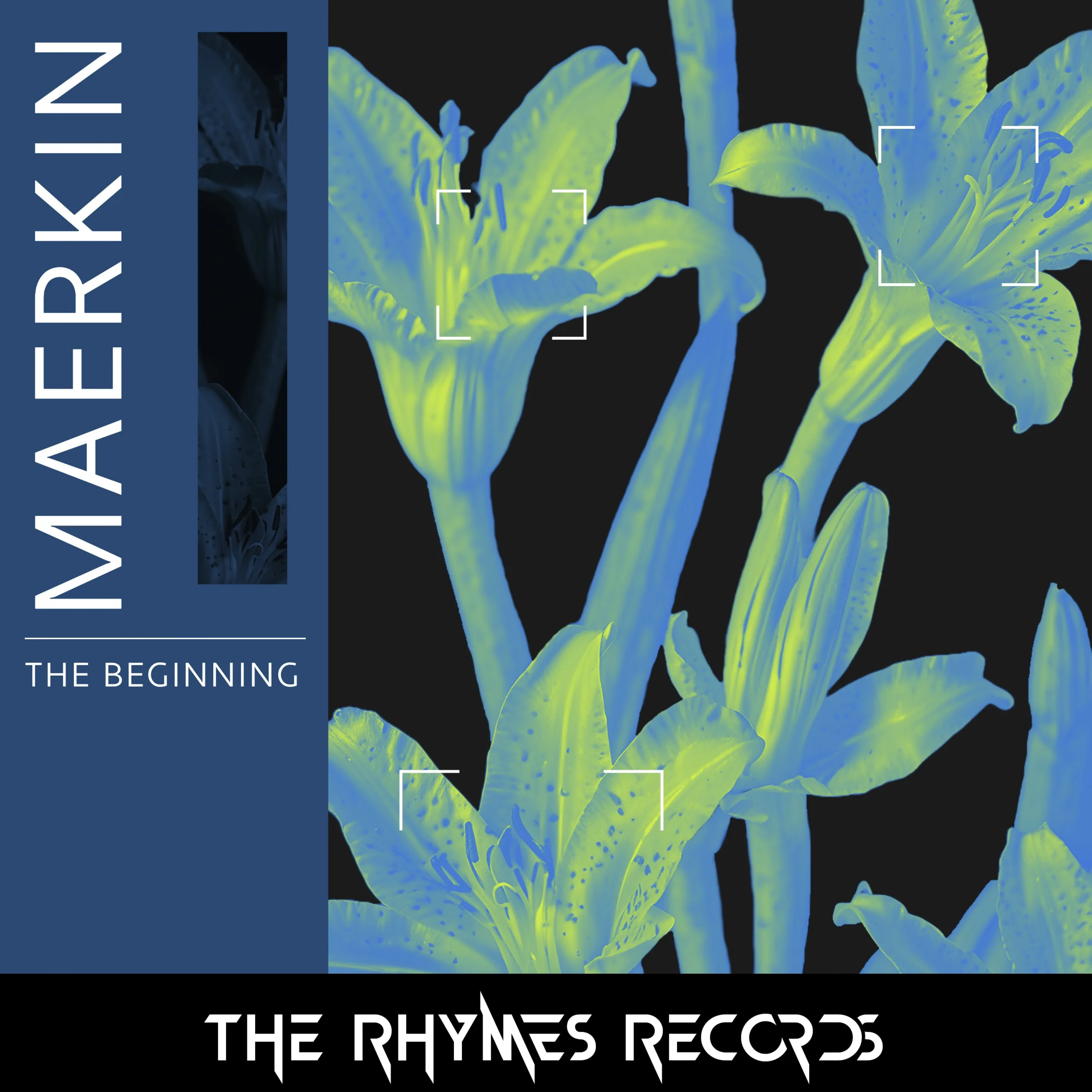 NDD-IMG 7253 scaled jpeg