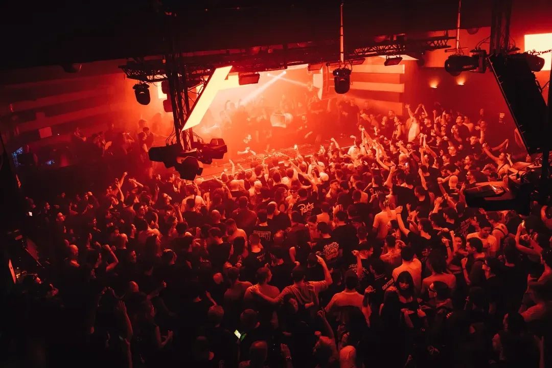 NDD-aldjaldjaldjaldjla png