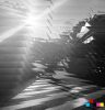 Arnault Hardy - One After Another - Remixes 2 NDD-One After Another Remixes Artwork Digital