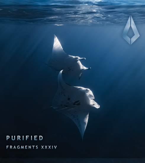 Verbala vuelve a Purified con Nami 5 NDD-unnamed 25