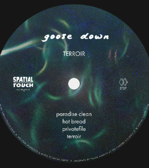 Goose Down y la elegancia del groove en Terroir 3 NDD-Captura de pantalla 2026 04 21 a las 21.36.14