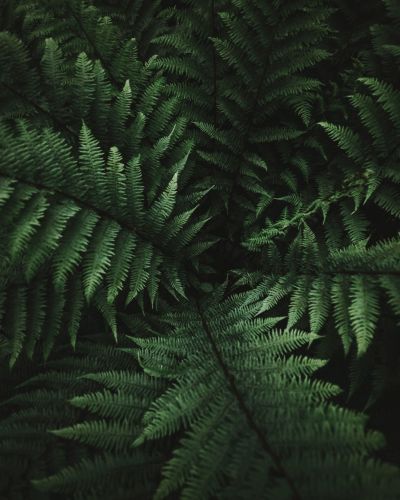 NDD-BACKGROUND 2 scaled