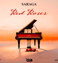 NDD-Captura de pantalla 2026 03 10 a las 20.42.18