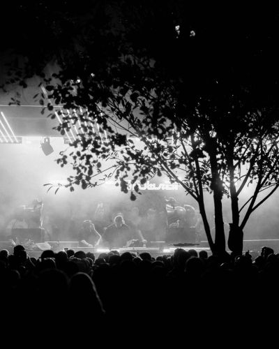 NDD-DF25 Viernes 115 scaled