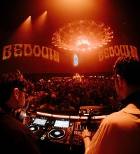 NDD-saga 11 2 scaled 7na6b8e8ho41k8d6jqw7w1suhwee5j2tecd2m5t6gjk