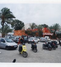 NDD-sueltas 1999884 scaled