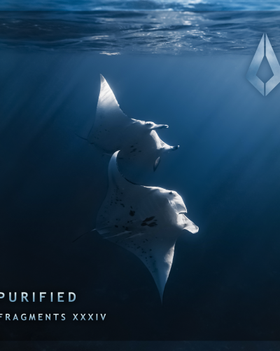 NDD-unnamed 25 scaled 7n786wnig3tdmfvmlhwa4mw0bseoqb5fr97hmo2nelc